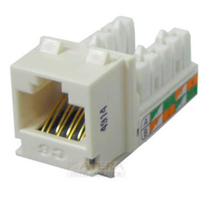 Conector Gigalan Premium RJ45 Fêmea Branco Categoria 6 8 Vias 568A/B ...